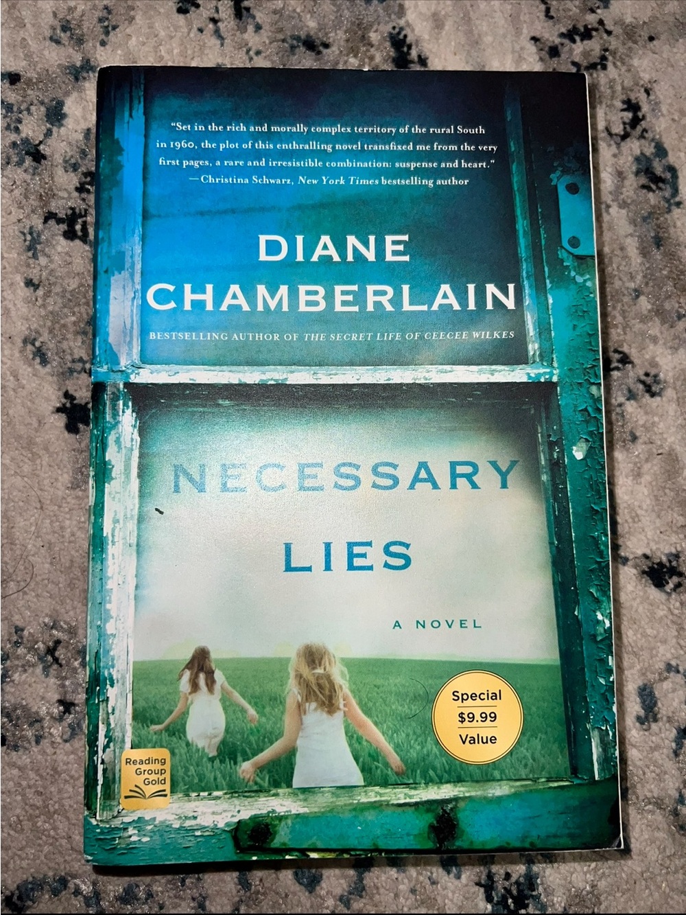 Necessary Lies by - Diane Chamberlain